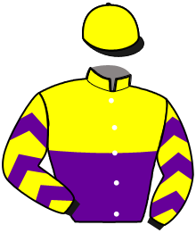 Casaque du n°10 — MASSILIO BLOND