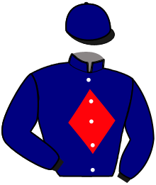 Casaque du n°9 — MALANDRINO