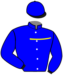Casaque du n°1 — NELSON GREENWOOD
