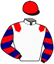 Casaque du n°10 — NACRE DU GERS