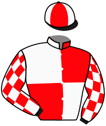Casaque du n°4 — BAY ROYALE