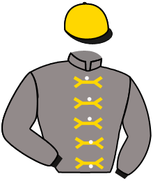 Casaque du n°5 — HATTEEN