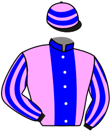 Casaque du n°7 — BLUE HERCULES