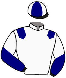 Casaque du n°11 — ISLE OF FERNANDEZ
