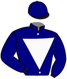 Casaque du n°2 — ROYAL VELVET