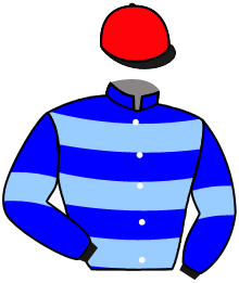 Casaque du n°1 — ADONIUS