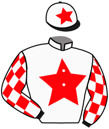 Casaque du n°2 — BILL THE BULL