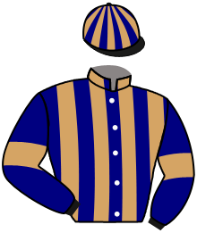 Casaque du n°5 — HELL OF A SPIN