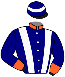 Casaque du n°7 — SALE SHARK