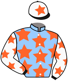 Casaque du n°1 — EXPERT AGENT