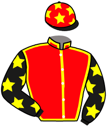 Casaque du n°14 — ARDUIS INVICTA