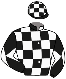 Casaque du n°2 — SIR GARFIELD