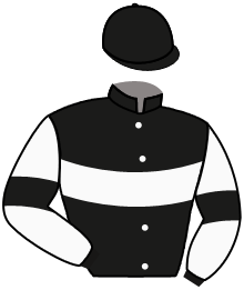 Casaque du n°9 — VINGEGAARD
