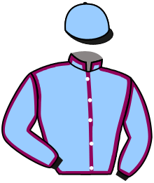 Casaque du n°11 — CRIMSON SPIRIT