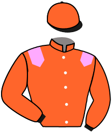 Casaque du n°13 — RAJEKO
