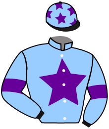 Casaque du n°16 — DIVINE LIBRA
