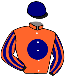 Casaque du n°19 — GOLDMOYNE