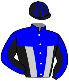 Casaque du n°6 — U.N. LANDO