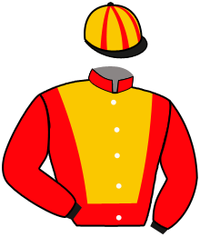 Casaque du n°1 — KVALES PRIDE