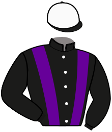 Casaque du n°2 — LINDE VIKING
