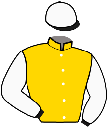 Casaque du n°2 — JAVELLE