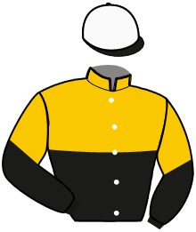 Casaque du n°11 — HAUGESTAD HAREK
