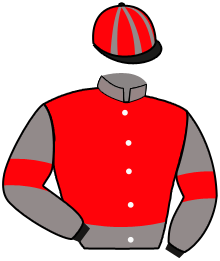 Casaque du n°4 — SOLLI VIKING