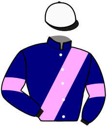 Casaque du n°3 — MERVEILLE DAB