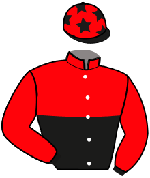 Casaque du n°3 — LYNX GRIFF