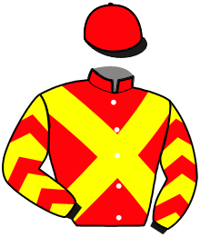 Casaque du n°3 — JAMAICA SPORT