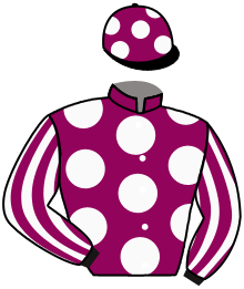 Casaque du n°1 — TABARUS