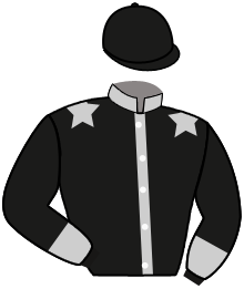 Casaque du n°2 — AF DARAHEM