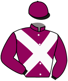 Casaque du n°2 — GUJANAIS
