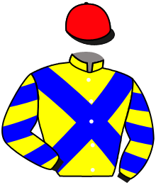 Casaque du n°10 — GODESSA
