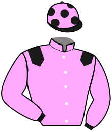 Casaque du n°3 — DRACO