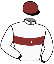 Casaque du n°5 — ALEXEI