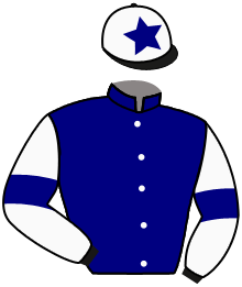 Casaque du n°7 — HONG KONG STAR