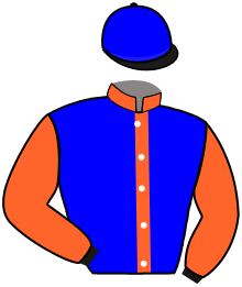 Casaque du n°8 — GRECIAN RULER