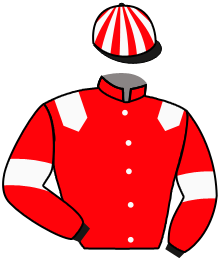 Casaque du n°4 — HOME HERO