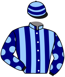 Casaque du n°6 — GALBA