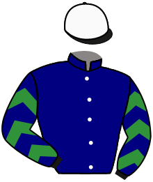 Casaque du n°7 — TERRANOBLE