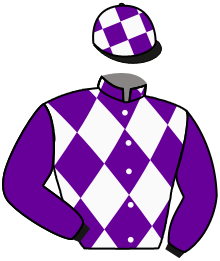 Casaque du n°8 — INGEMAR