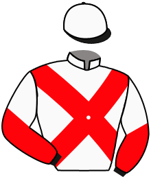 Casaque du n°1 — KIMEKO GLORY