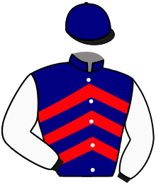 Casaque du n°5 — CASARENA