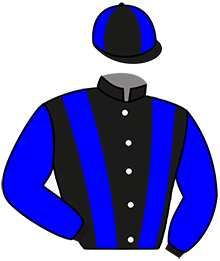 Casaque du n°3 — LIBERTADOR
