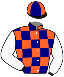 Casaque du n°3 — NAJA