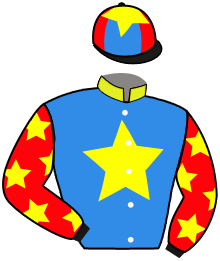 Casaque du n°1 — ARENALEJO