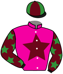 Casaque du n°14 — ERTUGRUL