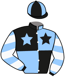 Casaque du n°7 — TALENT HORSE