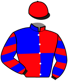Casaque du n°3 — KOURACEIRO